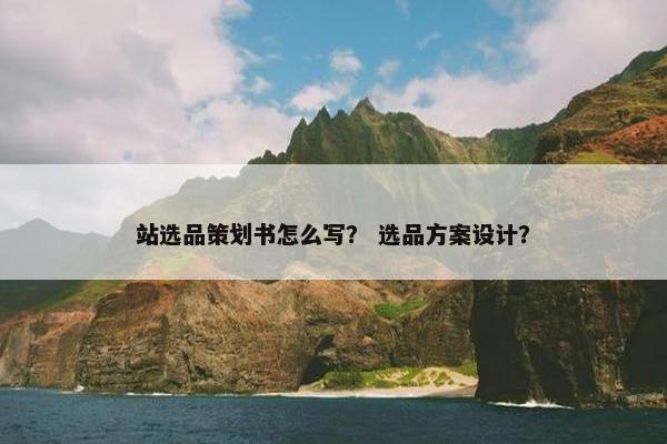 站选品策划书怎么写？ 选品方案设计？
