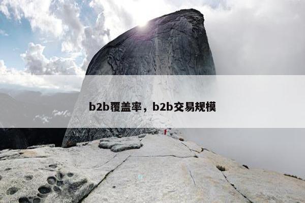 b2b覆盖率，b2b交易规模