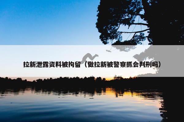 拉新泄露资料被拘留（做拉新被警察抓会判刑吗）
