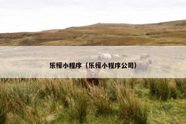 乐檬小程序（乐檬小程序公司）