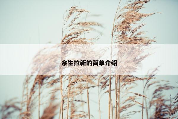 余生拉新的简单介绍