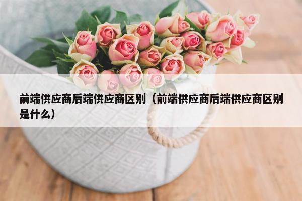 前端供应商后端供应商区别（前端供应商后端供应商区别是什么）
