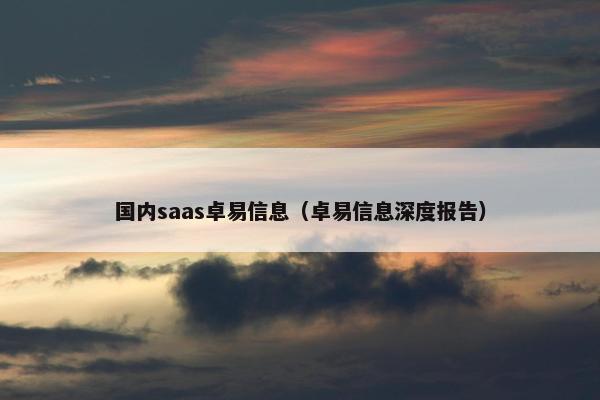 国内saas卓易信息（卓易信息深度报告）