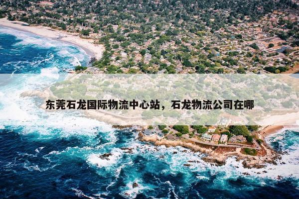 东莞石龙国际物流中心站，石龙物流公司在哪