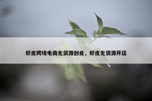 虾皮跨境电商无货源创业，虾皮无货源开店