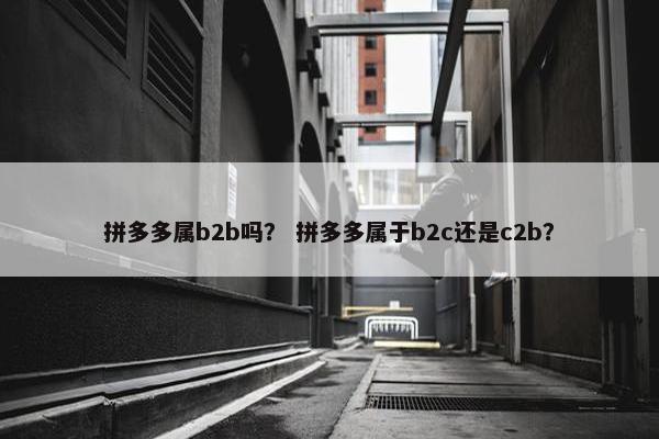 拼多多属b2b吗？ 拼多多属于b2c还是c2b？