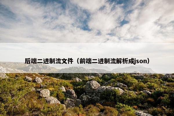 后端二进制流文件（前端二进制流解析成json）