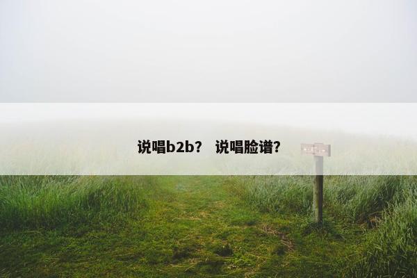 说唱b2b？ 说唱脸谱？