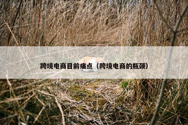 跨境电商目前痛点（跨境电商的瓶颈）