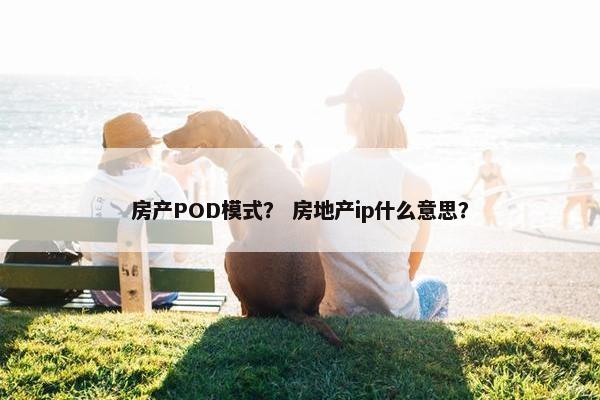 房产POD模式？ 房地产ip什么意思？
