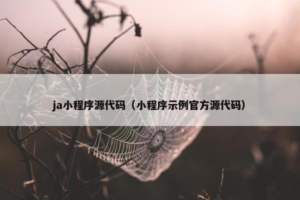 ja小程序源代码（小程序示例官方源代码）