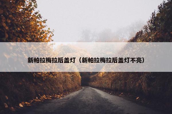 新帕拉梅拉后盖灯（新帕拉梅拉后盖灯不亮）
