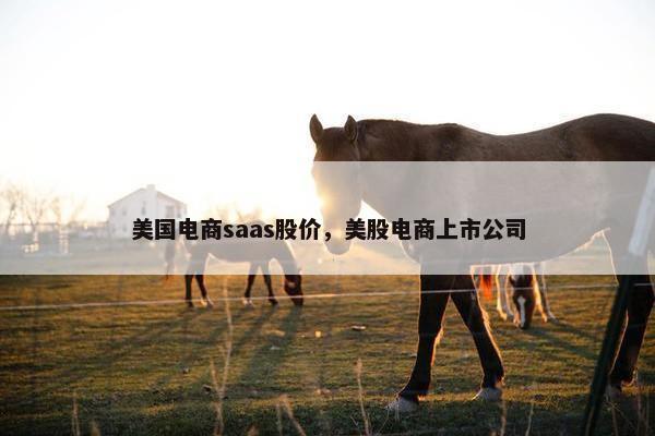 美国电商saas股价，美股电商上市公司