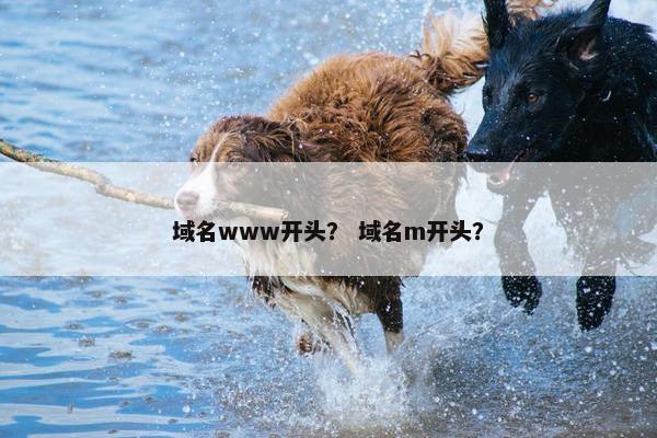域名www开头？ 域名m开头？
