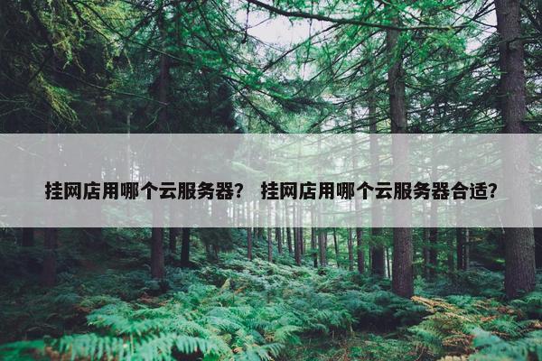 挂网店用哪个云服务器？ 挂网店用哪个云服务器合适？