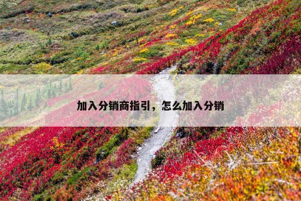 加入分销商指引，怎么加入分销
