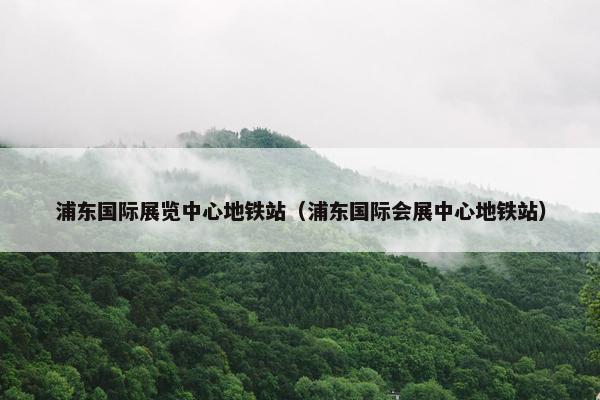 浦东国际展览中心地铁站（浦东国际会展中心地铁站）