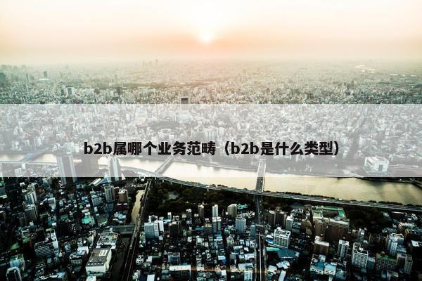 b2b属哪个业务范畴（b2b是什么类型）