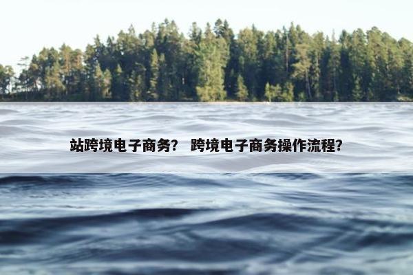 站跨境电子商务？ 跨境电子商务操作流程？