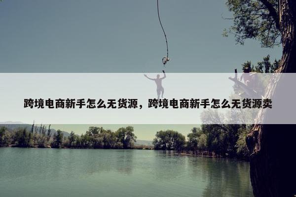 跨境电商新手怎么无货源，跨境电商新手怎么无货源卖