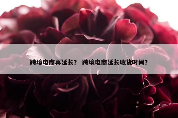 跨境电商再延长？ 跨境电商延长收货时间？