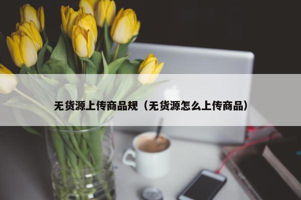 无货源上传商品规（无货源怎么上传商品）