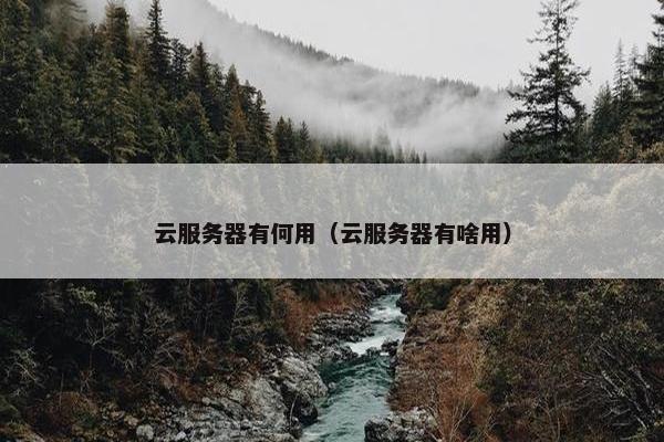 云服务器有何用（云服务器有啥用）