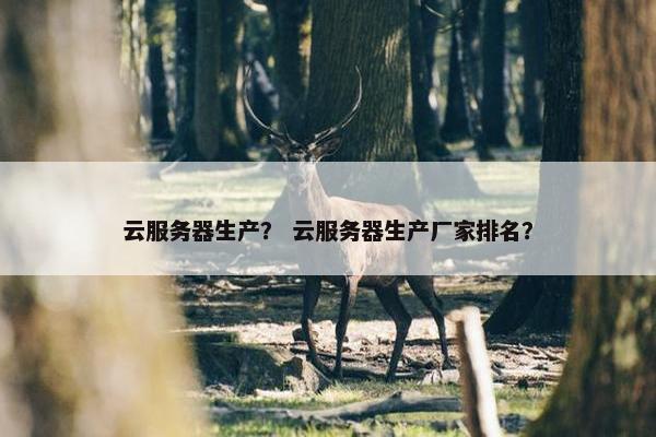 云服务器生产？ 云服务器生产厂家排名？