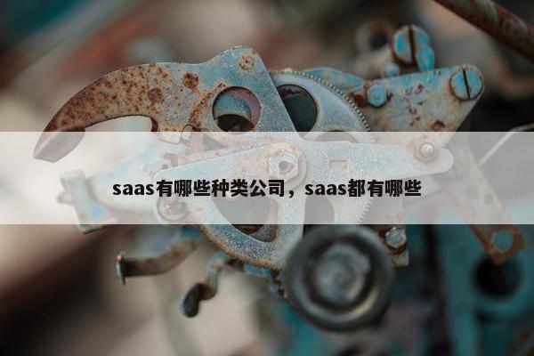 saas有哪些种类公司，saas都有哪些
