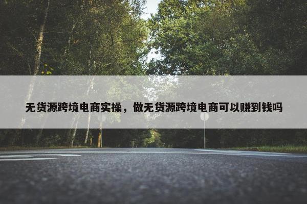 无货源跨境电商实操，做无货源跨境电商可以赚到钱吗