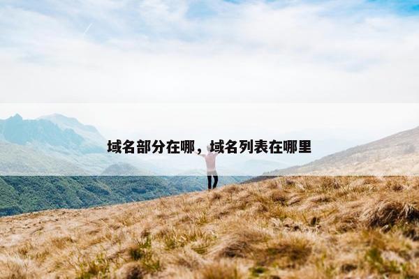 域名部分在哪，域名列表在哪里