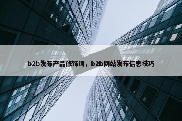 b2b发布产品修饰词，b2b网站发布信息技巧