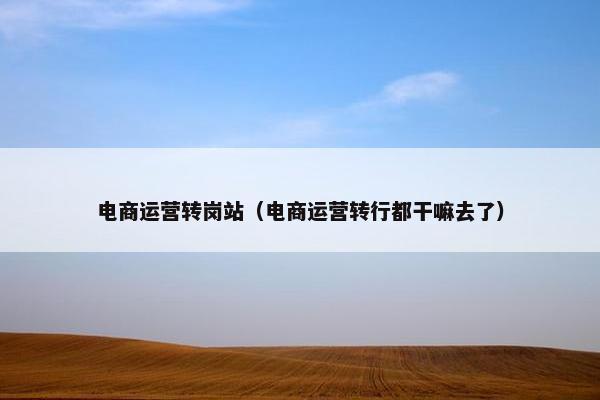 电商运营转岗站（电商运营转行都干嘛去了）