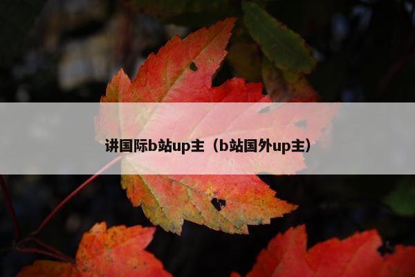 讲国际b站up主（b站国外up主）