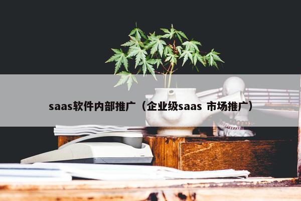 saas软件内部推广（企业级saas 市场推广）