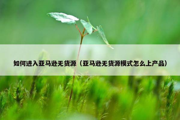 如何进入亚马逊无货源（亚马逊无货源模式怎么上产品）