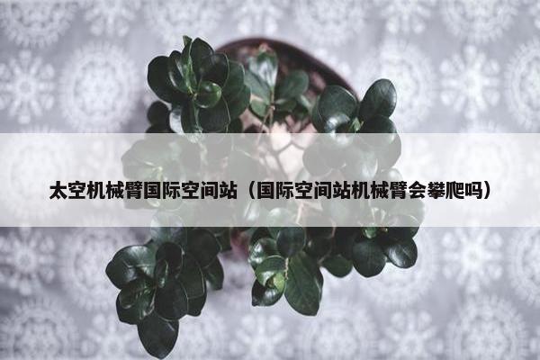 太空机械臂国际空间站（国际空间站机械臂会攀爬吗）
