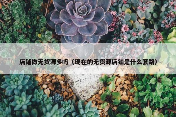 店铺做无货源多吗（现在的无货源店铺是什么套路）