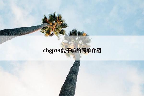 chgpt4能干嘛的简单介绍