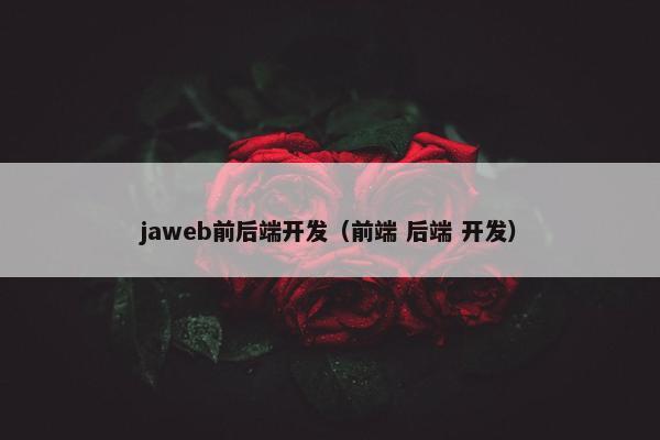 jaweb前后端开发（前端 后端 开发）