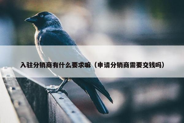 入驻分销商有什么要求嘛（申请分销商需要交钱吗）