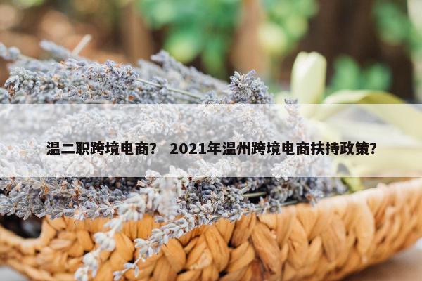 温二职跨境电商？ 2021年温州跨境电商扶持政策？