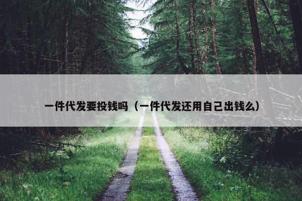 一件代发要投钱吗（一件代发还用自己出钱么）