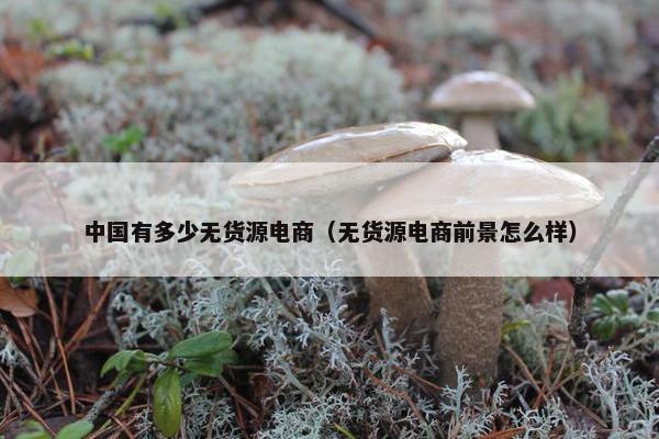 中国有多少无货源电商（无货源电商前景怎么样）