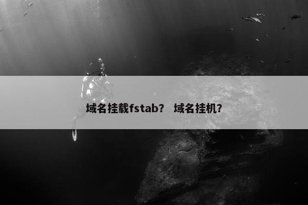 域名挂载fstab？ 域名挂机？
