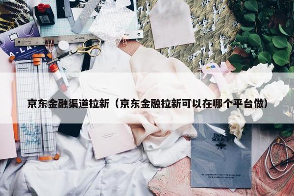 京东金融渠道拉新（京东金融拉新可以在哪个平台做）