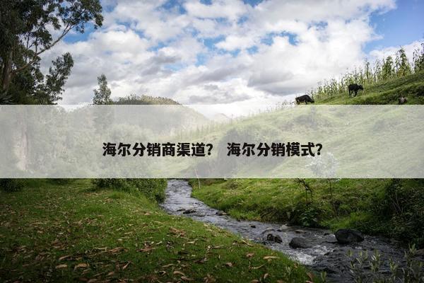 海尔分销商渠道？ 海尔分销模式？