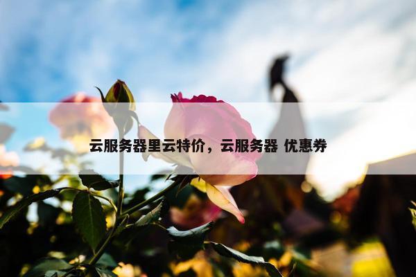 云服务器里云特价，云服务器 优惠券