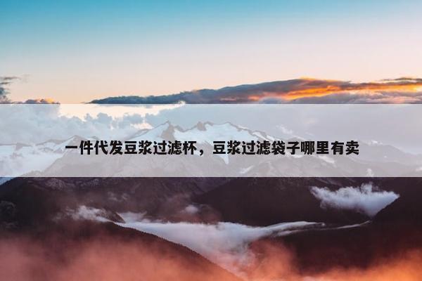 一件代发豆浆过滤杯，豆浆过滤袋子哪里有卖
