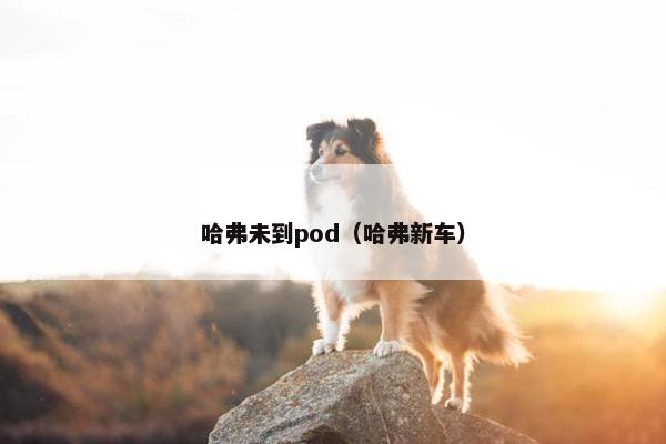 哈弗未到pod（哈弗新车）